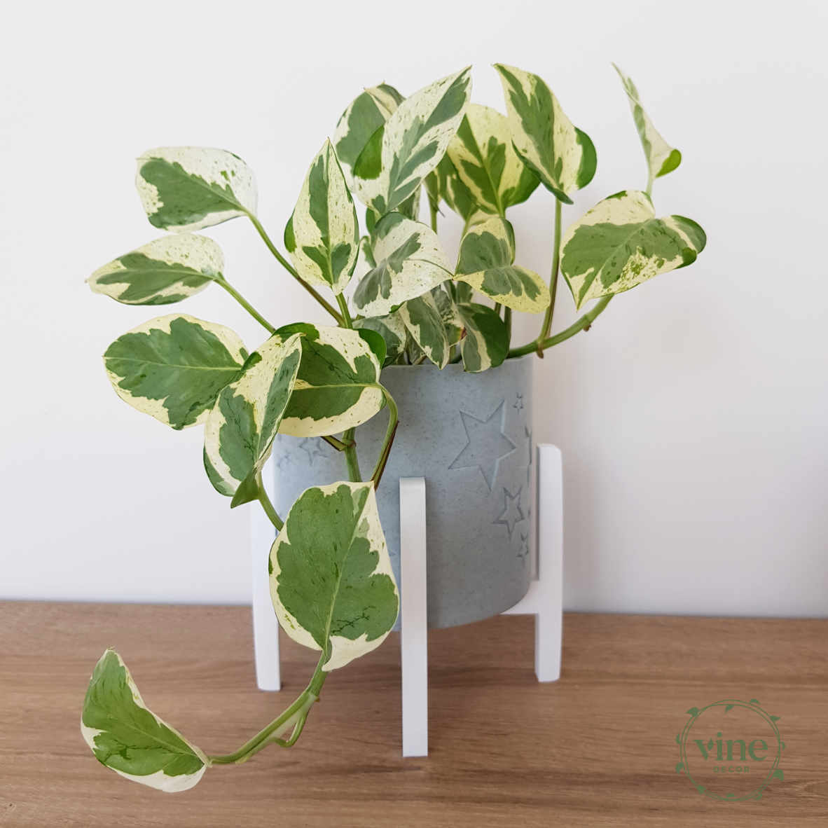 Pot Stand 1 Pot Stand