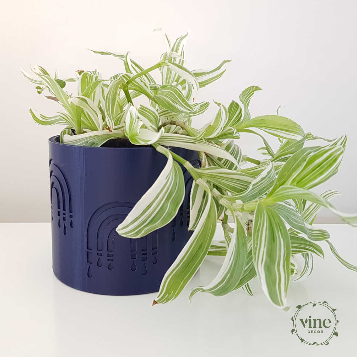 Rainbow Pot 4 Vine Decor Plant Pot Navy Rainbow Quicksilver