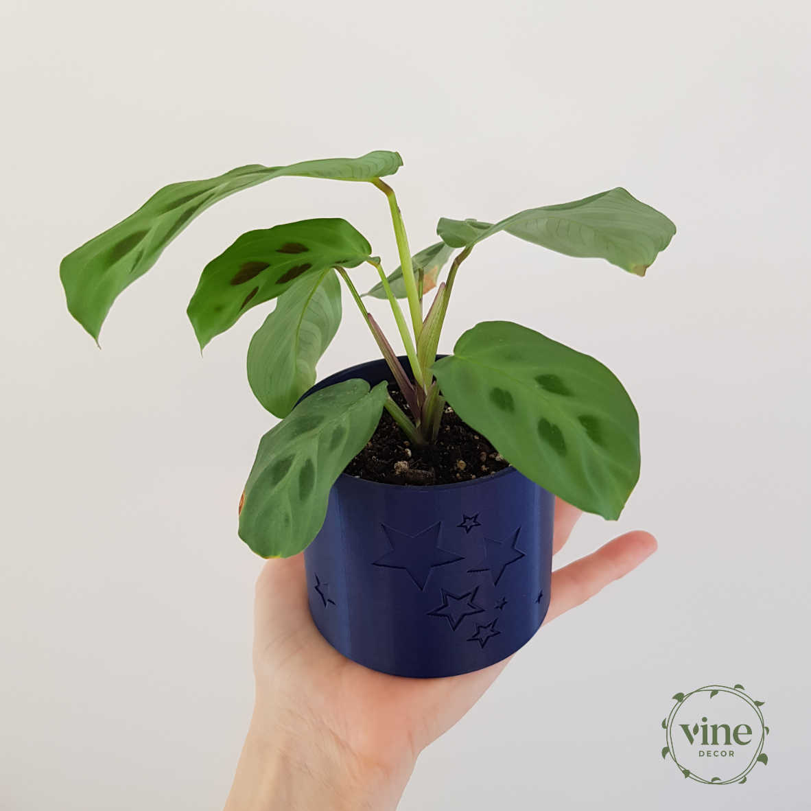 Star Pot 4 Vine Decor Plant Pot Navy Stars 2