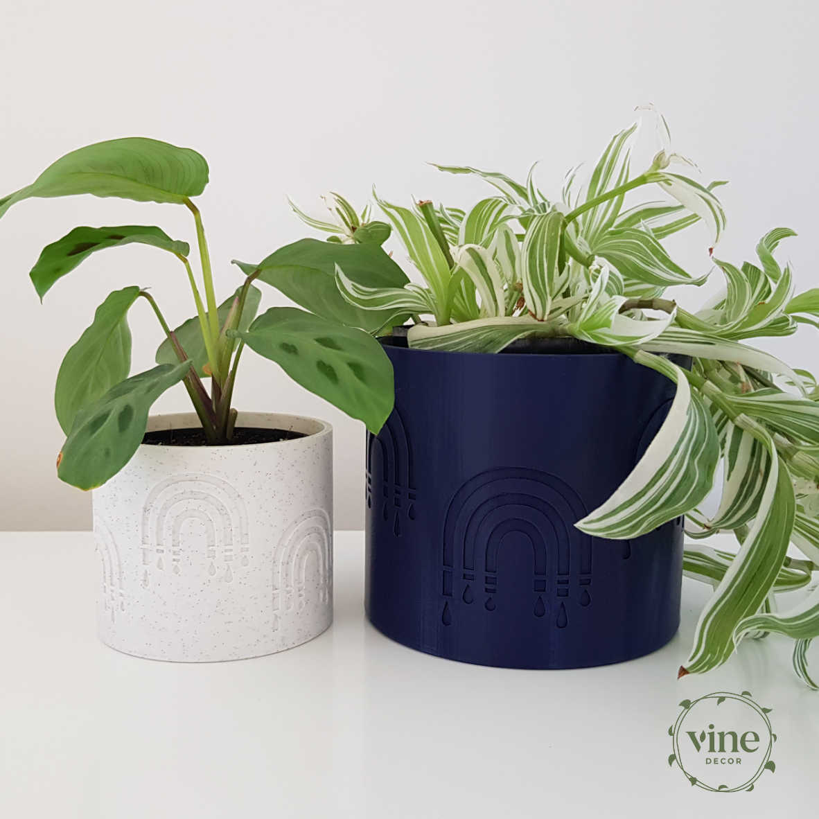 Rainbow Pot 7 Vine Decor Plant Pots Rainbows