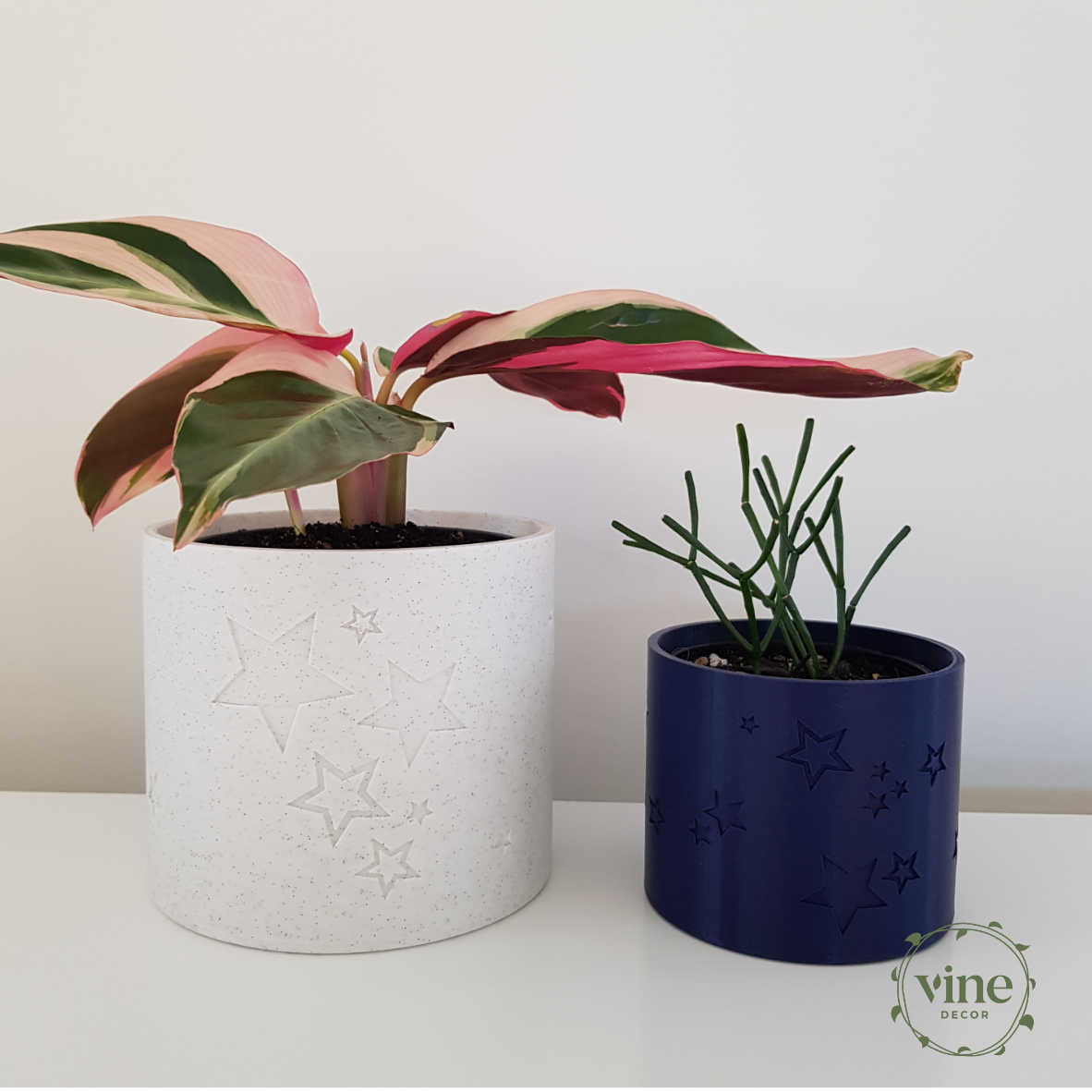 Star Pot 2 Vine Decor Plant Pots Stars