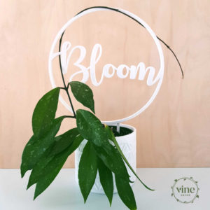 Bloom Climbing Frame