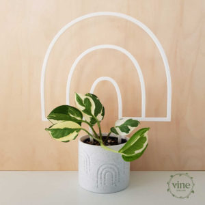 Rainbow Climbing Frame