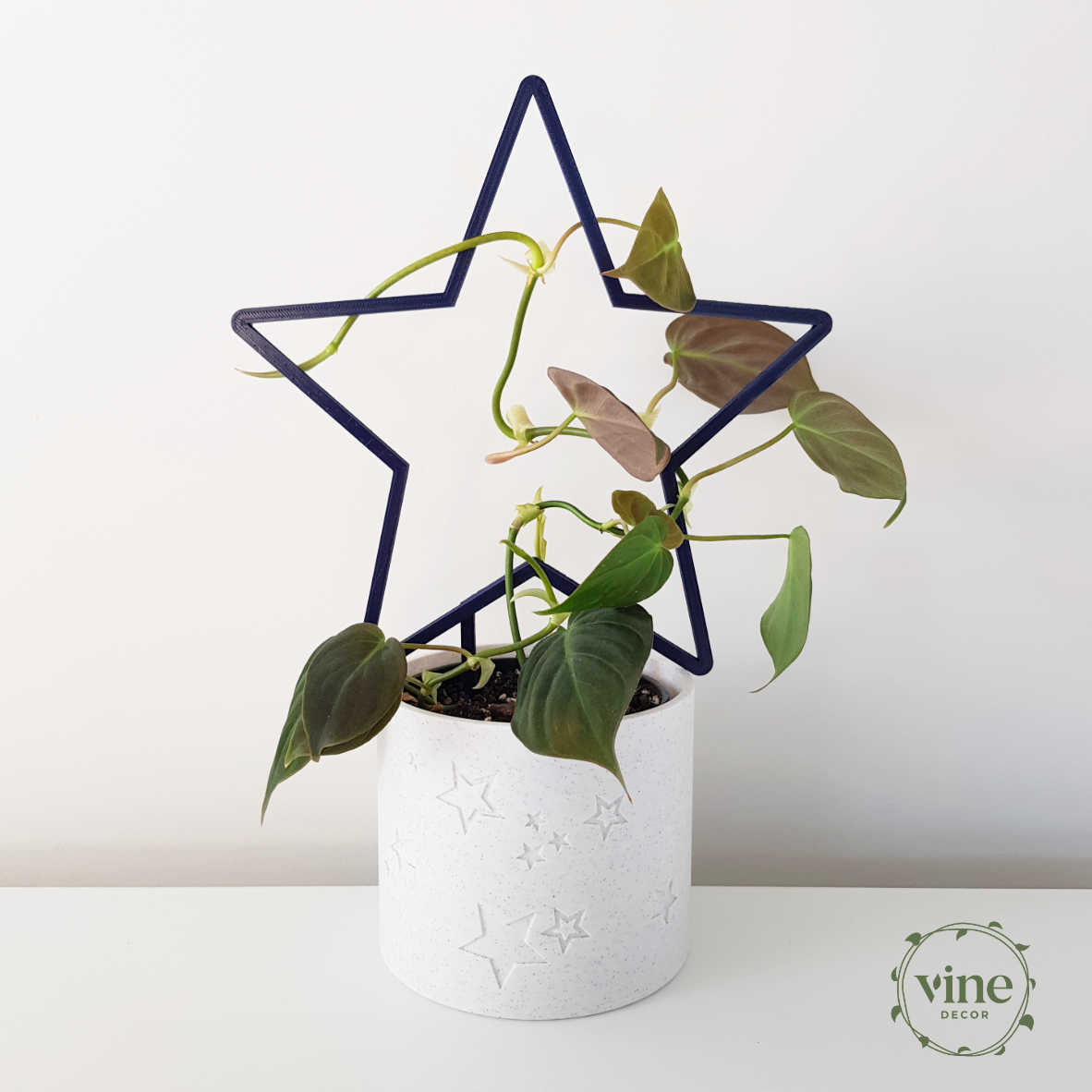 Star Climbing Frame 2 Star Climbing Frame - Image 2