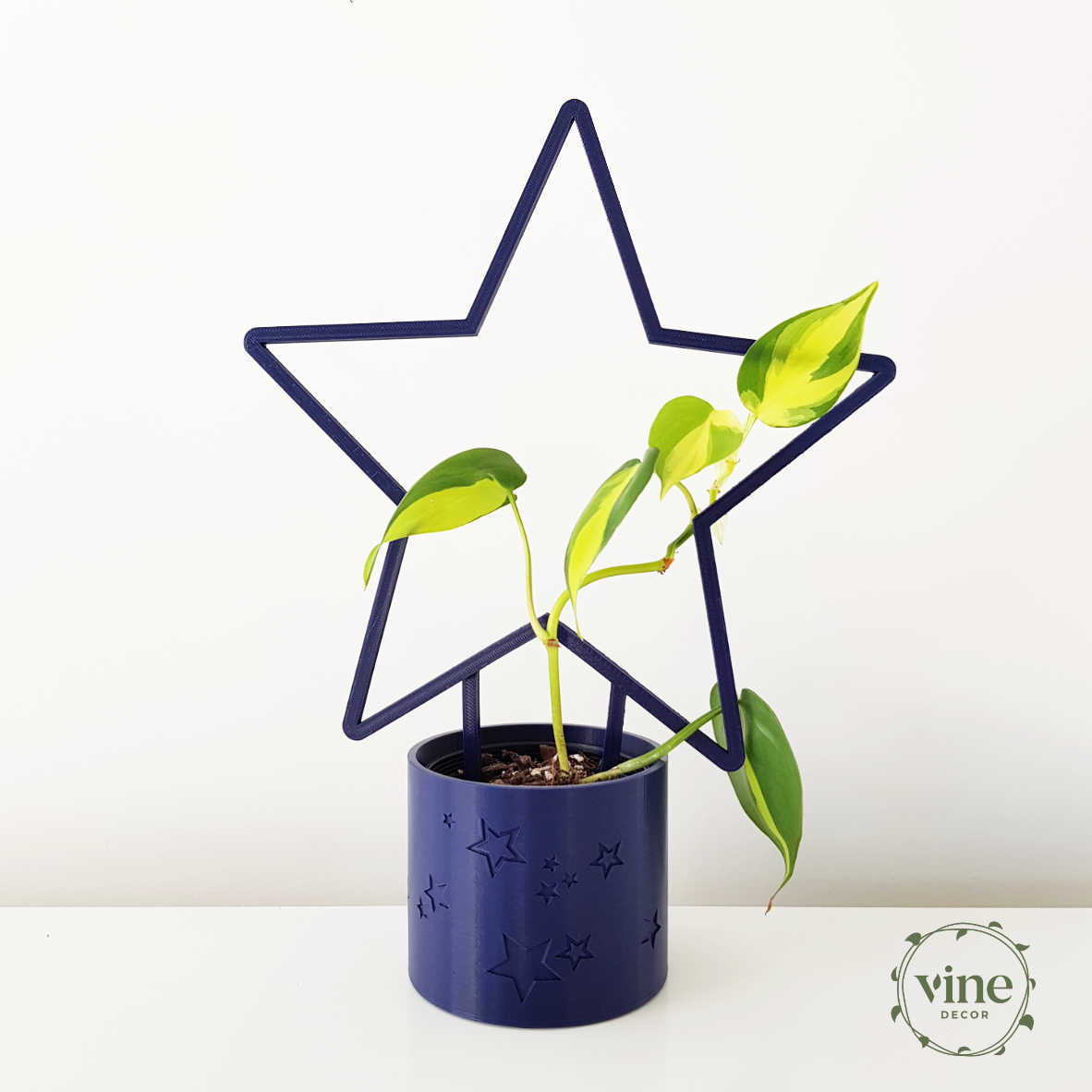 Star Pot 5 Star Pot - Image 5
