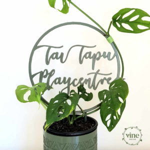 Custom Climbing Frame