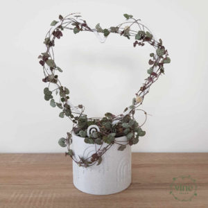 Heart Climbing Frame