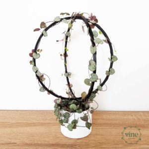 Sphere Climbing Frame