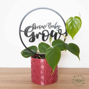 Grow Baby Grow Climbing Frame