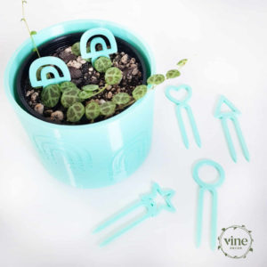 Plant Pins