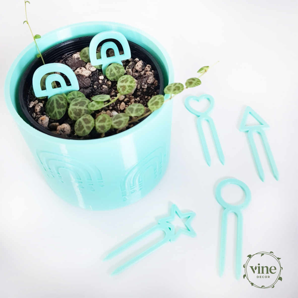 Propagation Pins 1 Plant Pins