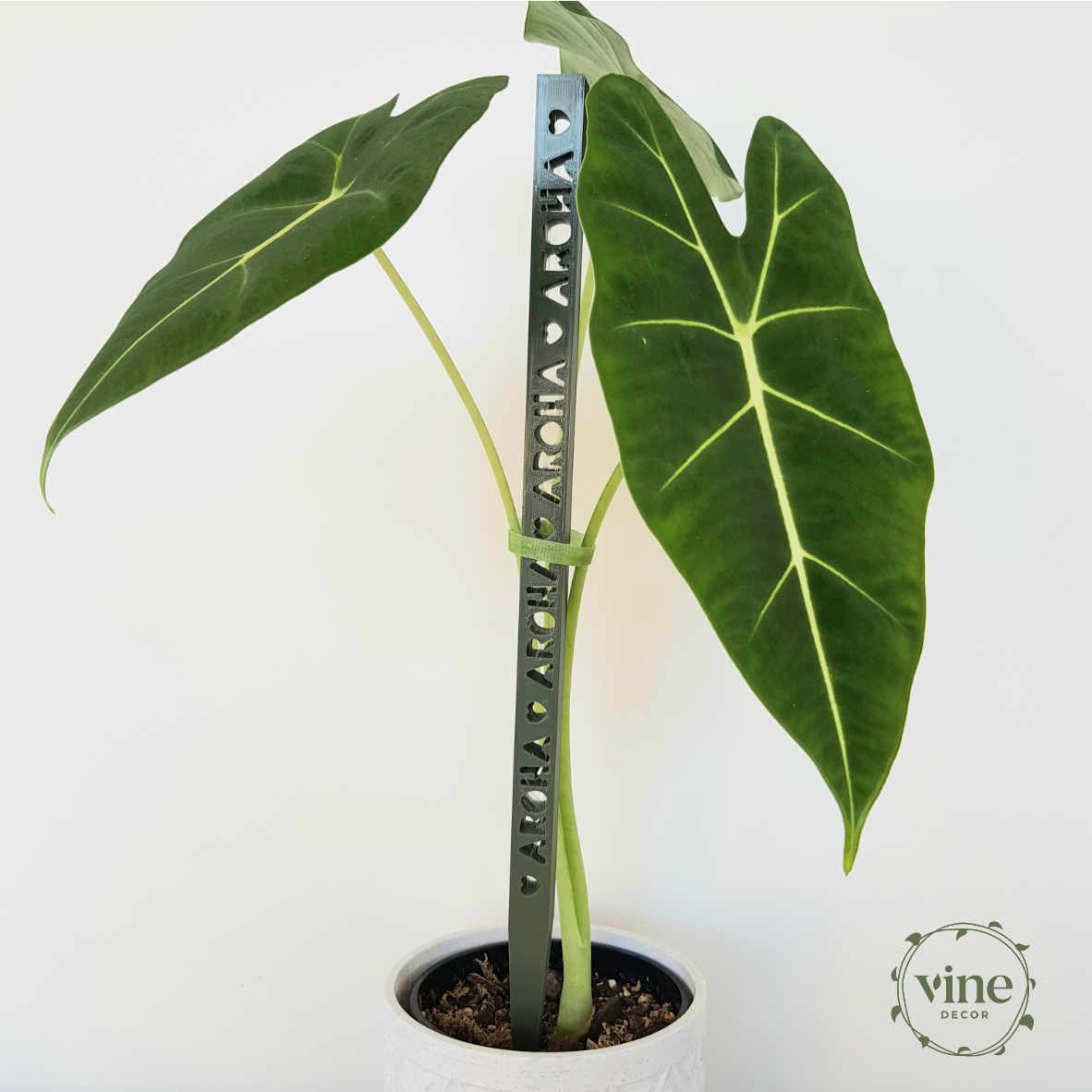 Plant Home 20 Accessories