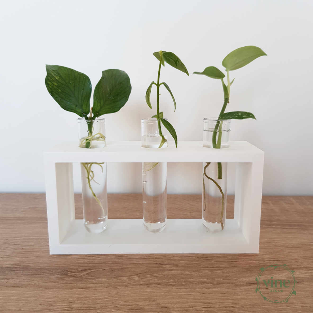 Plant Home 14 Propagation Stations