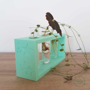 Star Propagation Station