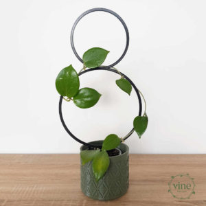 Double Hoop Climbing Frame