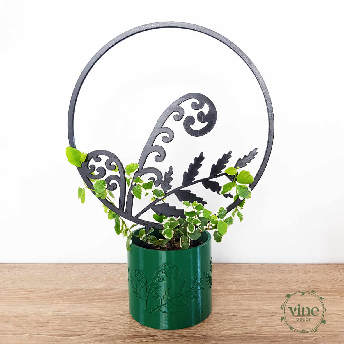 Fern Pot 2 Fern Pot - Image 2